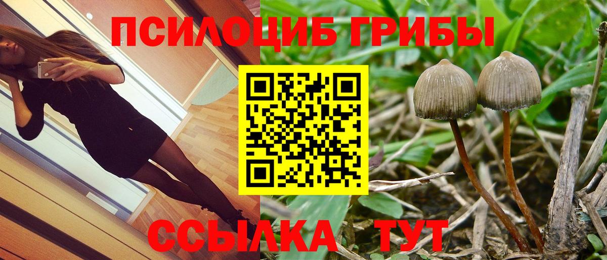 Псилоцибиновые грибы MAGIC MUSHROOMS Нягань